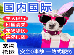 阿尔山航空快运国际宠物托运 【国